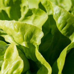 Salata de vară